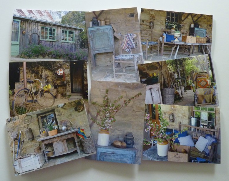 Lavandula photo montage 